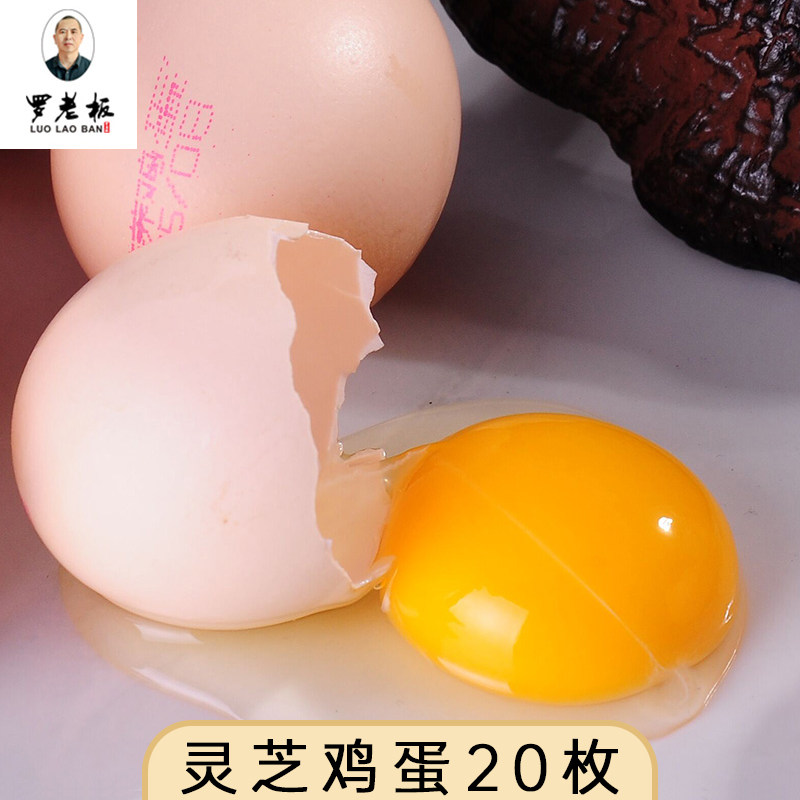 罗老板灵芝营养鸡蛋 20枚礼盒装 灵芝水喂养富硒土鸡蛋孕妇月子蛋