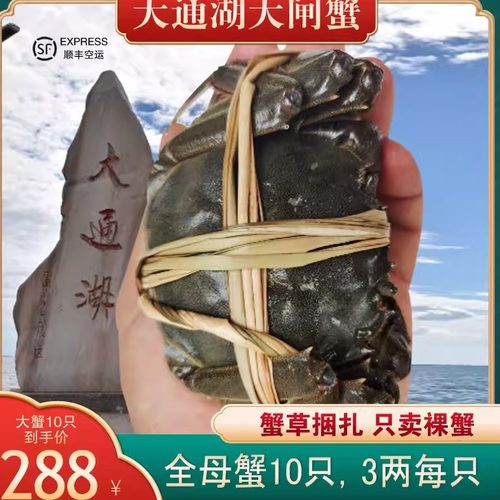 湖南益阳大通湖区横霸大闸蟹鲜活水产螃蟹海鲜全母10只礼盒装 - 封面