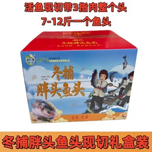 吉林松原冬捕胖头鱼头花鲢鱼活鱼现切整个头8-12斤特产礼盒装包邮