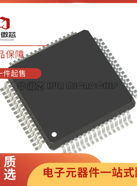 R5F100PKDFA LQFP-100(14x20)封装 单片机芯片 全新原装正品