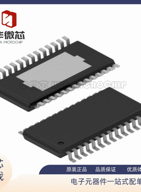TPA3140D2PWPR TPA3140D2 HTSSOP-28封装 音频放大芯片 原装正品