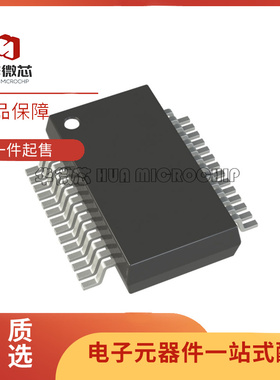 全新原装正品 WM8766GEDS WM8766G 贴片 SSOP-28 数模转换器芯片