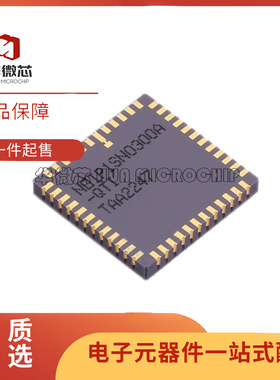 NOIP1SN0300A-QTI LCC-48(14.2x14.2)封装 图像传感器芯片 原正品