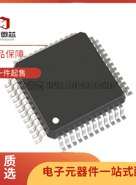 R5F101GCAFB LFQFP-48(7x7)封装 单片机芯片 全新原装正品