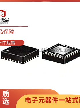 HSWA4-63DR+ 固态开关芯片 30 - 6000MHz 封装QFN-24  全新原装