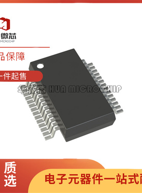 WM8766G WM8766GEDS/RV 贴片SSOP-28 数模转换器芯片 全新原装