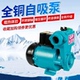 水空调泵家用小型水泵自动抽水机增压220V水井电动自吸泵太阳能泵