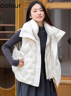 oldcolour冬季新品时尚纯色高级感百搭保暖羽绒背心女BQ07A1