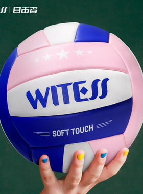 WITESS目击者机缝5号软皮中考学生室外训练比赛沙滩男女充气排球
