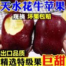 鲜果婴儿水果特级整箱正品 甘肃天水花牛苹果当季 直发 现货速发