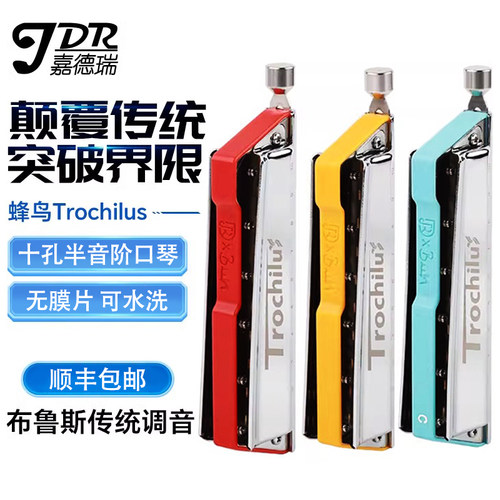 嘉德瑞10孔蜂鸟半音阶布鲁斯口琴