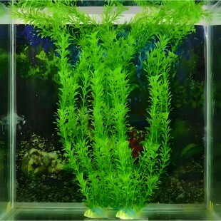 Plants Aquarium Aquariums Fish Plant Decoration Tank for
