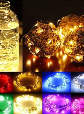 1M 2M 3M 5M Copper Wire LED String lights Holiday lighting F
