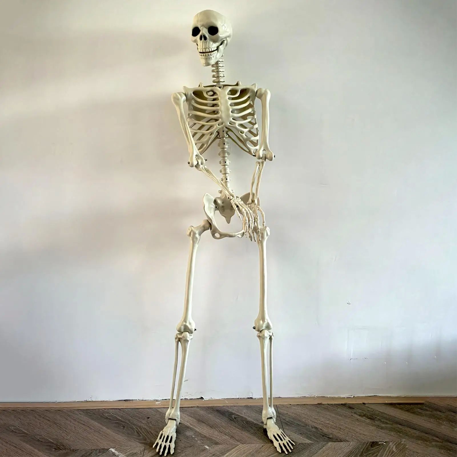 Halloween Realistic Body Bones Life Size Human Skeleton With