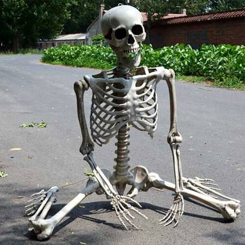 Full Life Size Human Skeleton Halloween Decoration Haunted H