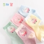 [5 đôi] Lợn vớ trẻ em vớ bé gái 1-3-5-8 tuổi Bé vớ cotton dễ thương Peggy trong vớ - Vớ quần tất cho bé gái