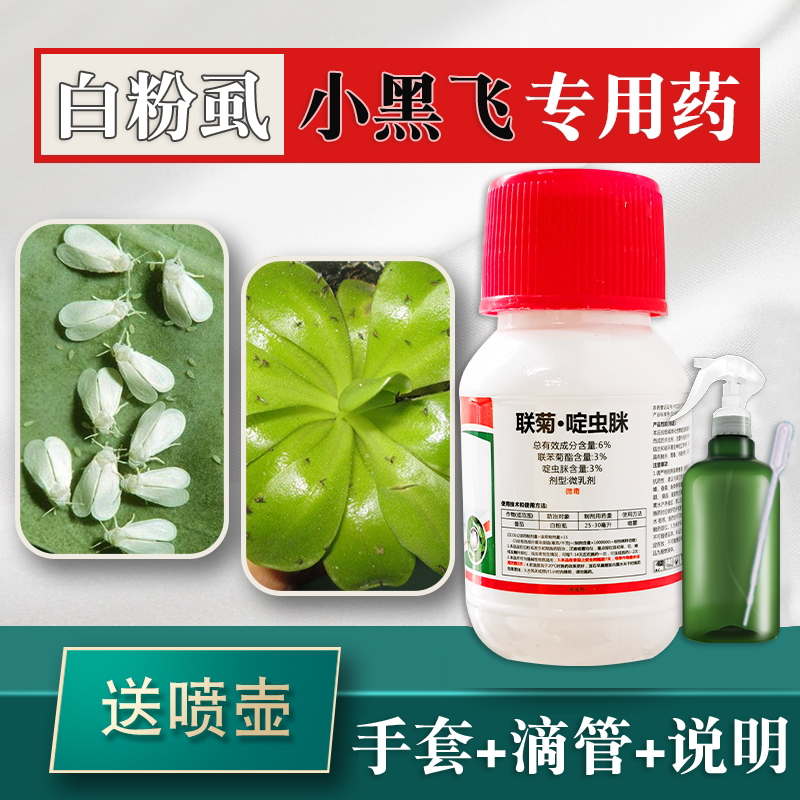 白粉虱家用花卉杀虫剂