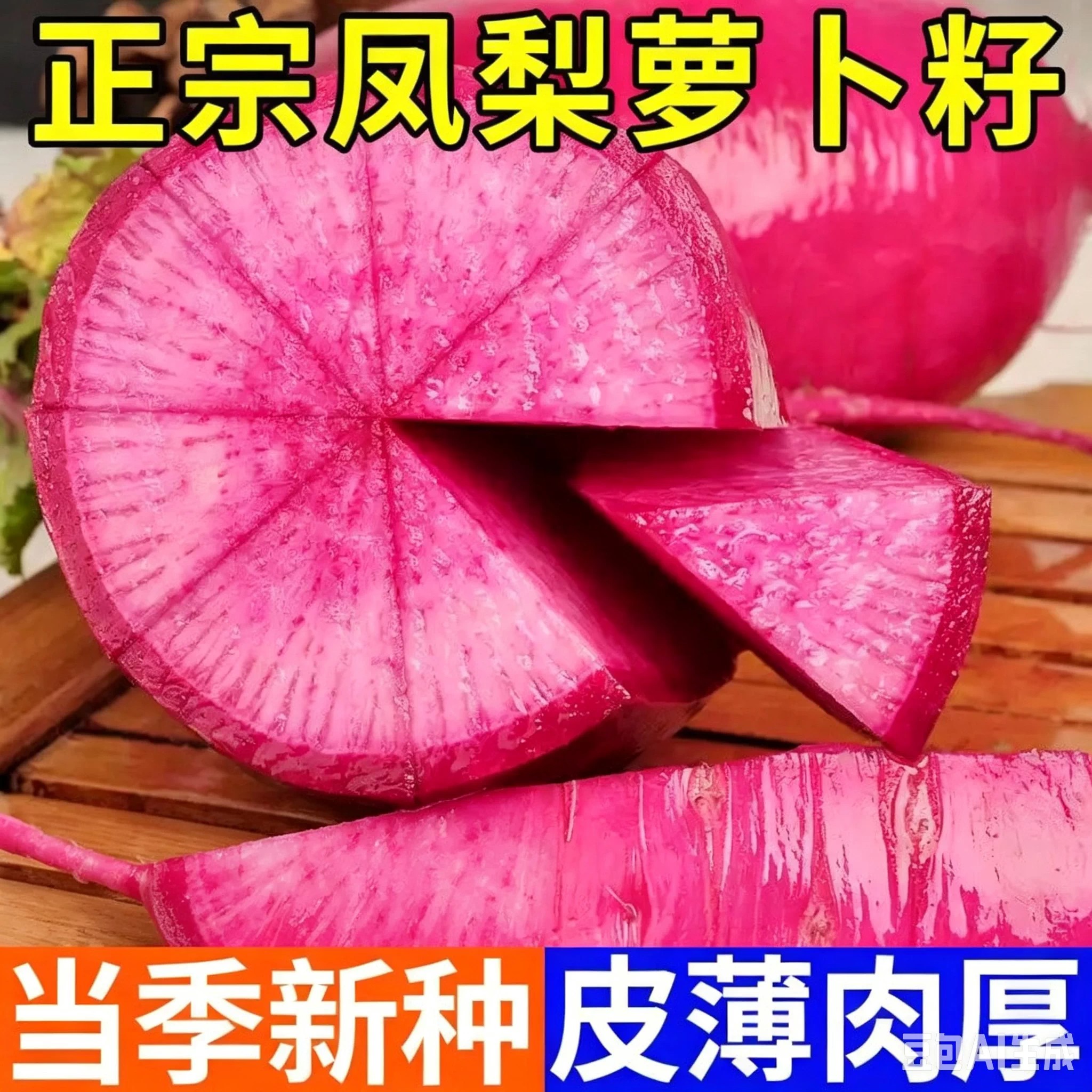 今年新品种凤梨水果萝卜种子生吃紫美人萝卜胭脂萝卜籽夏季可播种