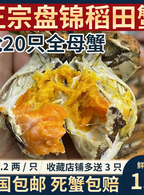盘锦河蟹全国顺丰包邮20只鲜活