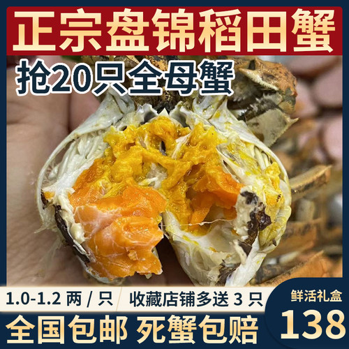 盘锦河蟹全国顺丰包邮20只鲜活