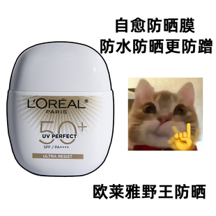 欧莱雅野王防晒霜40ml防水防汗高倍户外控油防晒乳
