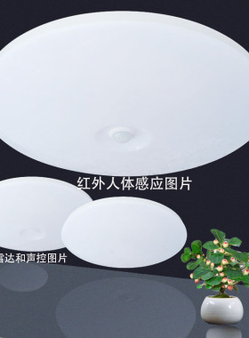 雷达感应超薄三防吸顶灯楼梯过楼道走廊阳台led红外人体声控智能