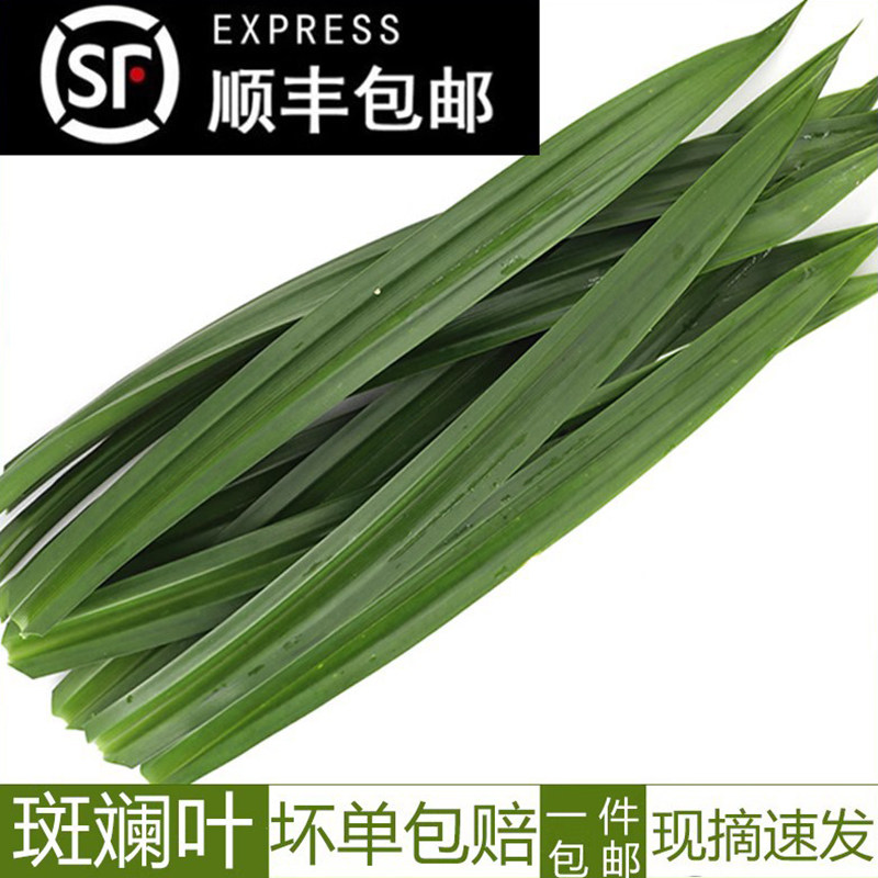 顺丰包邮新鲜斑斓叶 香兰叶500g 斑兰叶班兰叶芒果糯米饭调料糕点