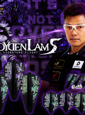 日本原装Cosmo/Fit FlightxRoyden Lam5代飞镖翼Shape/super Kite