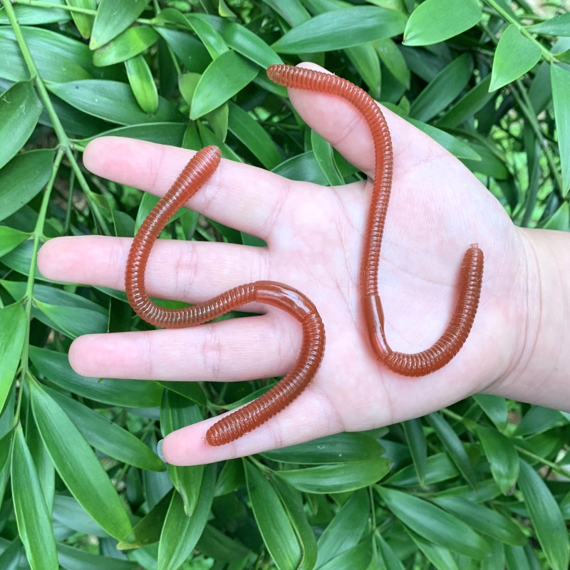 软胶蚯蚓仿真地龙幼儿园儿童玩具创意整蛊吓人静态假昆虫动物模型