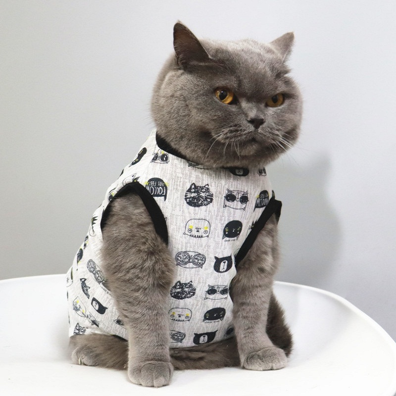 新品夏天超薄网眼凉凉衣薄款狗狗衣服网纱背心宠物猫衣服防晒衣服