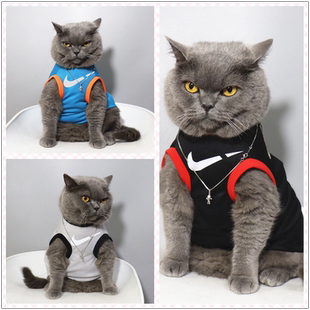 宠物猫咪比熊雪纳瑞泰迪小狗衣服猫咪衣服夏季 薄款 防掉毛篮球无袖