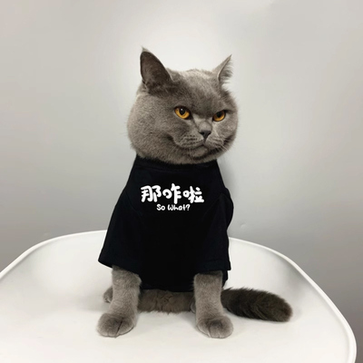 原创猫咪衣服夏季薄款防掉毛纯棉透气小狗服装宠物T恤 那咋了