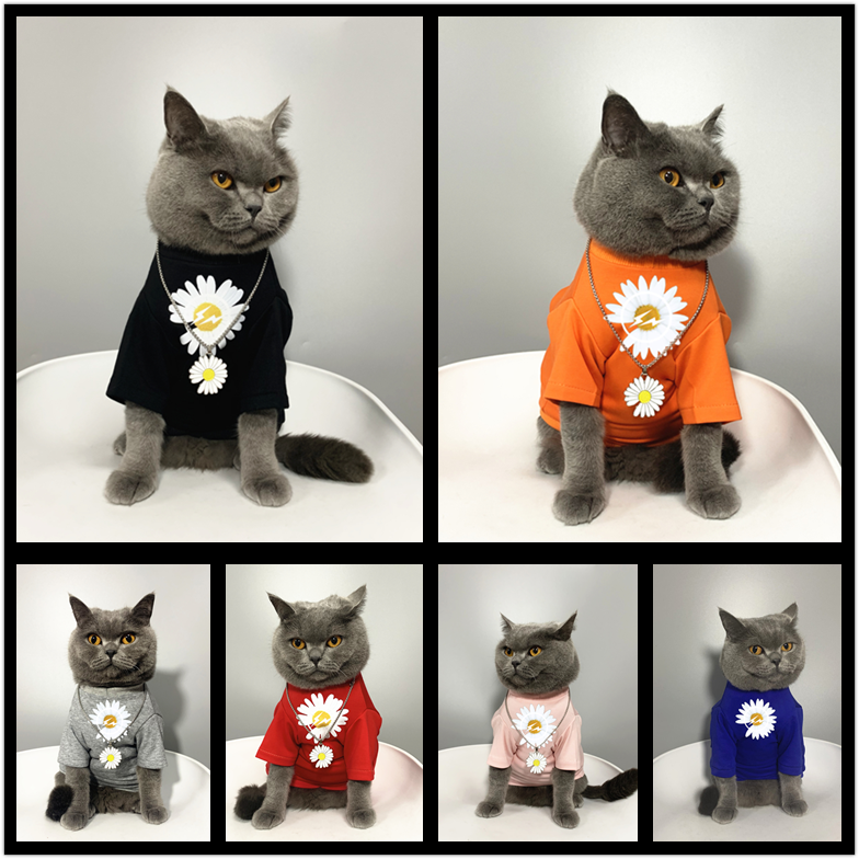 薄款防掉毛小雏菊猫咪