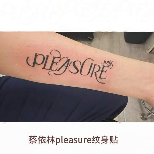 蔡依林pleasure纹身贴手臂手腕辣妹个性高级草本果汁仿真防水持久