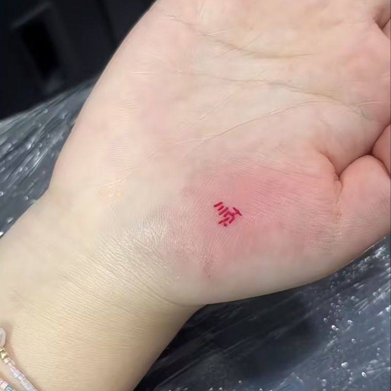 顺遂顺风顺水 ins风文字手臂酷高颜值小众彩色纹身贴甜酷潮流高级图片