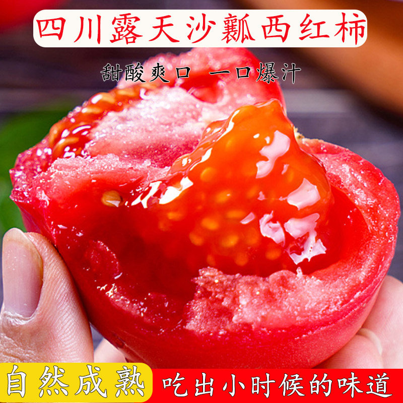 四川沙瓤西红柿水果番茄新鲜现摘自然成熟 孕妇沙瓤番茄可生吃5斤