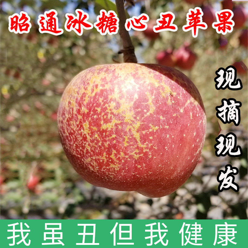 【脆甜】云南昭通冰糖心丑苹果当季新鲜201红富士孕妇苹果9斤包邮