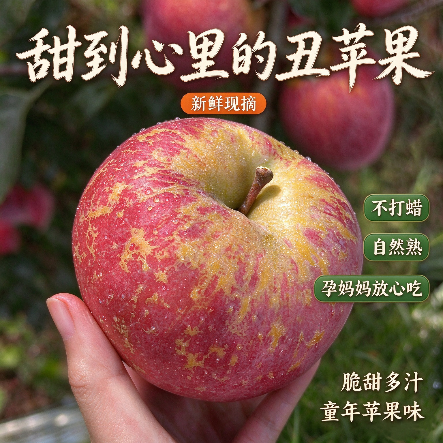 2026云南昭通丑苹果新鲜水果2001苹果脆甜多汁红富士5/9斤装包邮