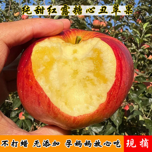 【纯甜】云南昭通红露冰糖心丑苹果当季新鲜水果孕妇苹果9斤包邮