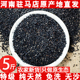 5斤正宗驻马店黑芝麻农家干净饱满无染色熟黑芝麻2025年新 熟