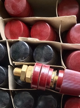 大电流特大555 300A全铜接线柱10mmM10*60，电 议价