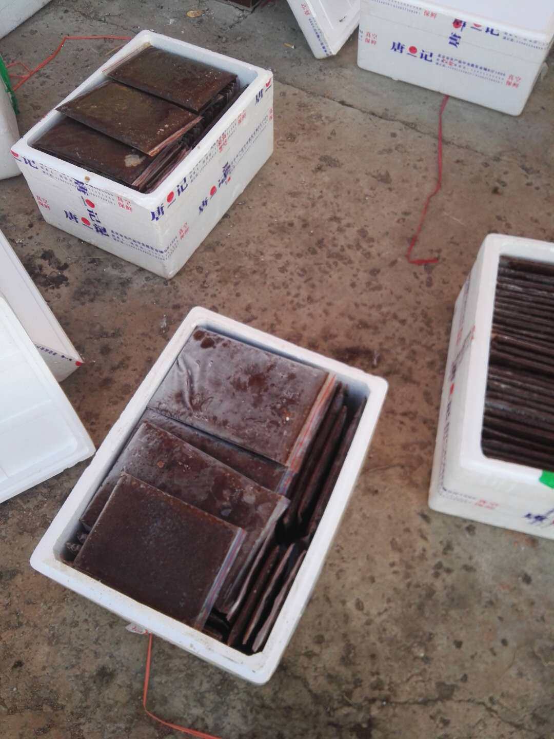 1000g/板 速冻丰年虾 包邮到家赠保温箱冰袋自封袋保温棉包装