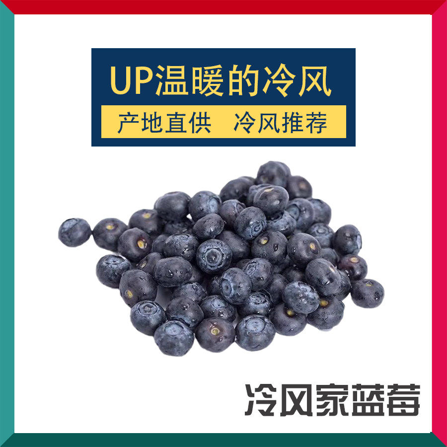 up温暖的冷风的助农小店 新鲜蓝莓 b站冷风家的淘宝店