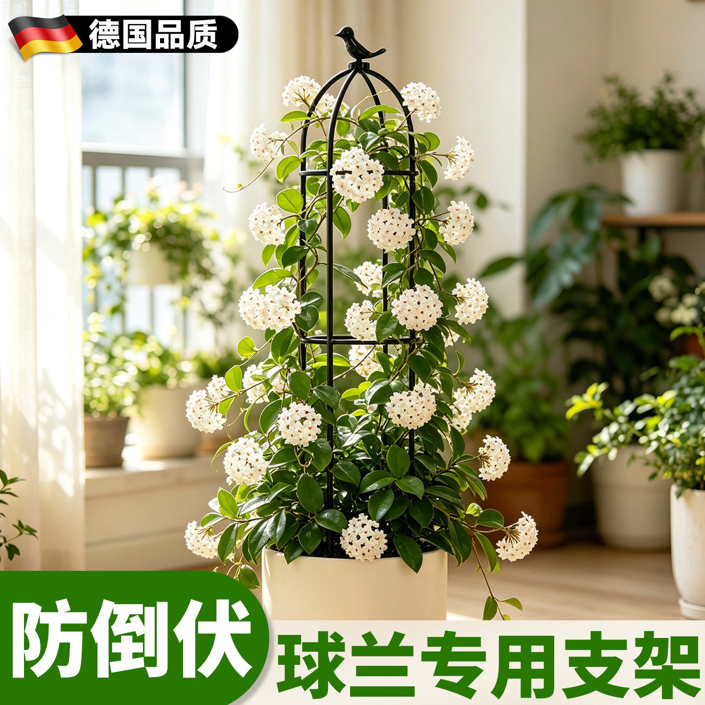 球兰爬藤架花卉支撑架图片