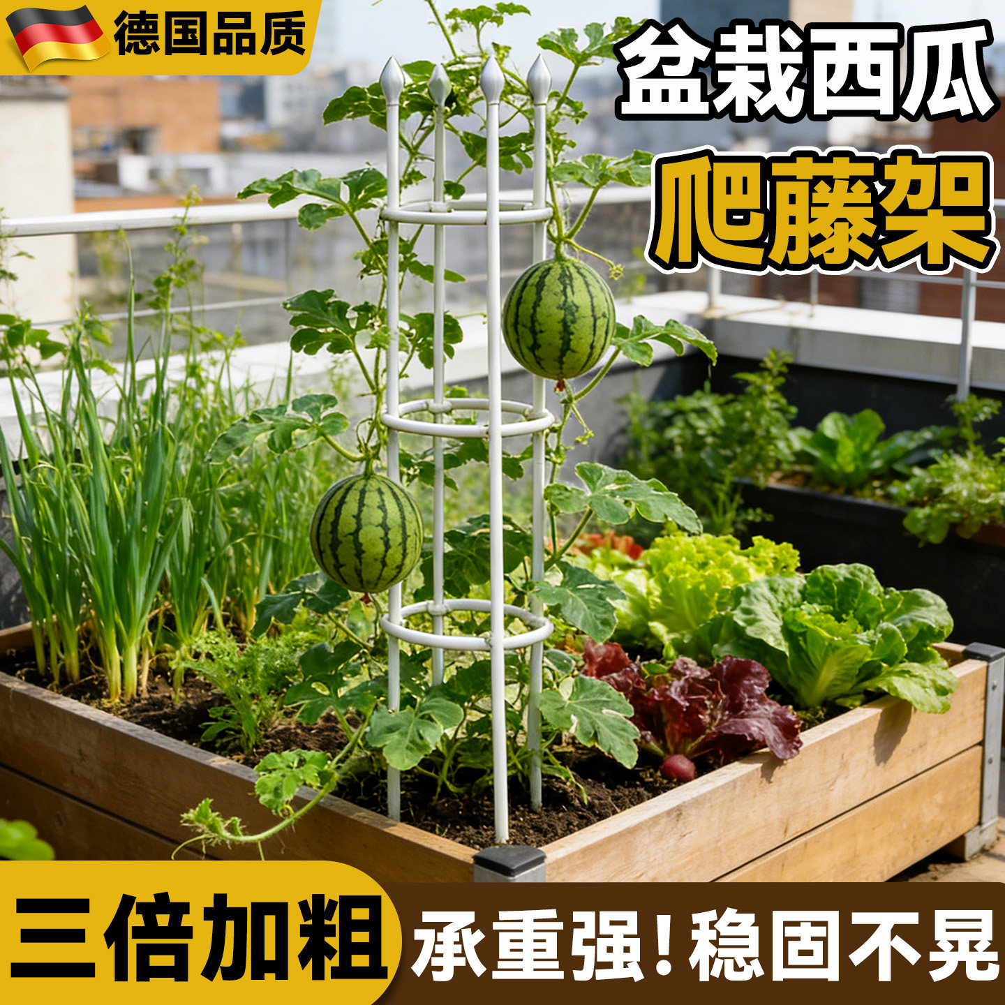 盆栽西瓜支撑架黄瓜豆角爬藤支架图片