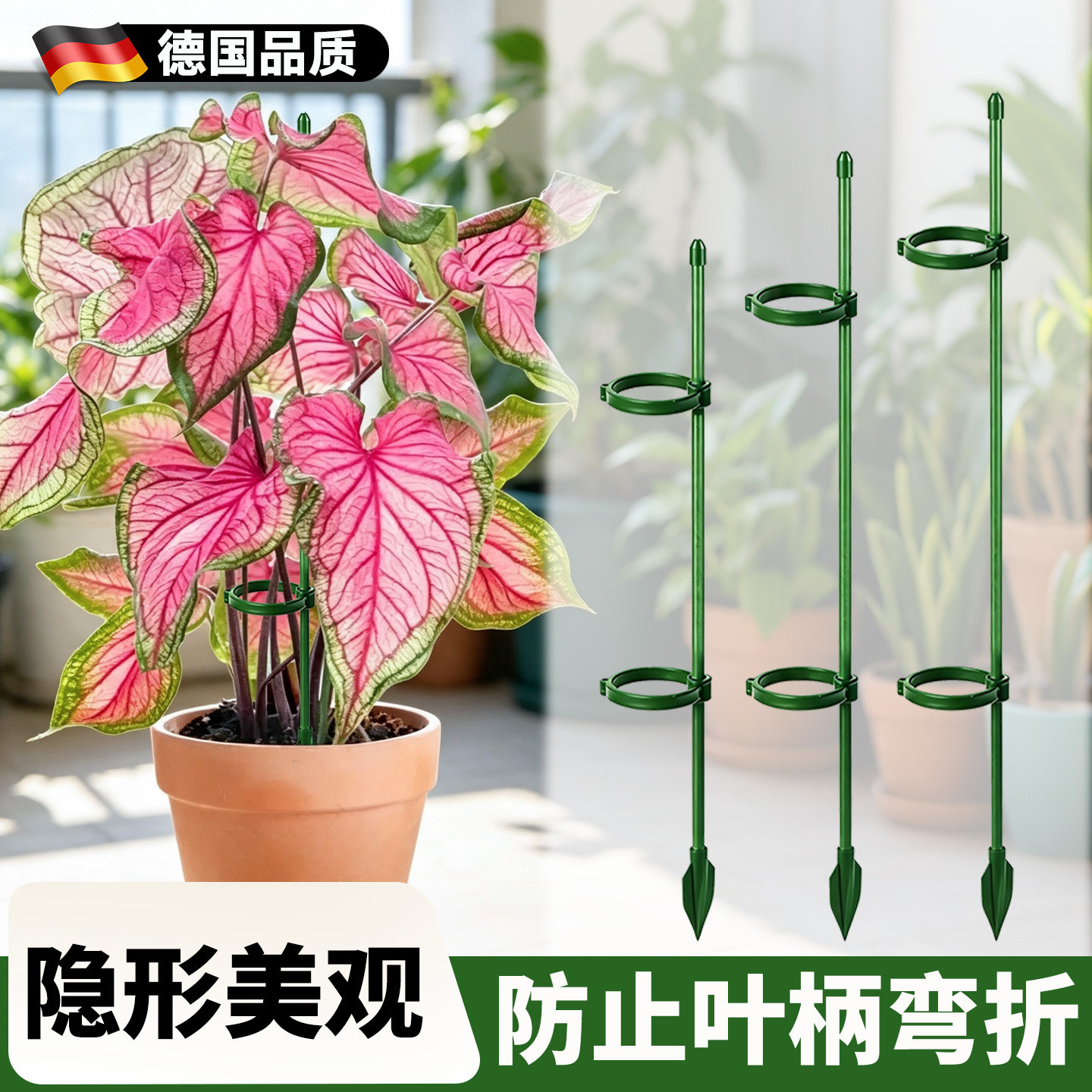 彩叶芋支撑杆植物支架花架绿植专用防倒伏固定器花爬架花的支撑架图片