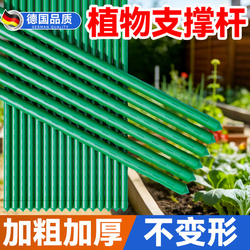 植物支撑杆花架爬藤架葡萄架