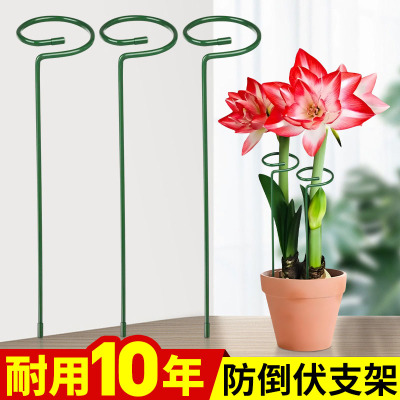 植物防倒伏支架铁艺绣球吊兰支撑