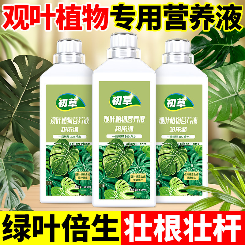 营养液观叶植物通用型花肥发财树富贵竹绿萝水培盆栽家用花卉绿植