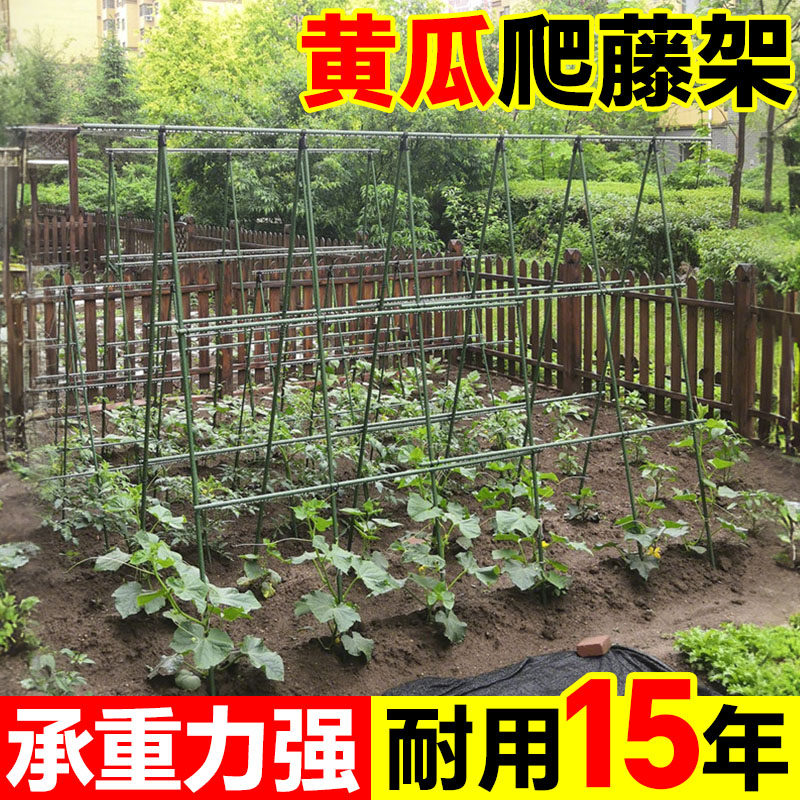 黄瓜爬藤架搭豆角架杆楼顶种菜架子瓜棚番茄丝瓜支撑杆蔬菜攀爬架